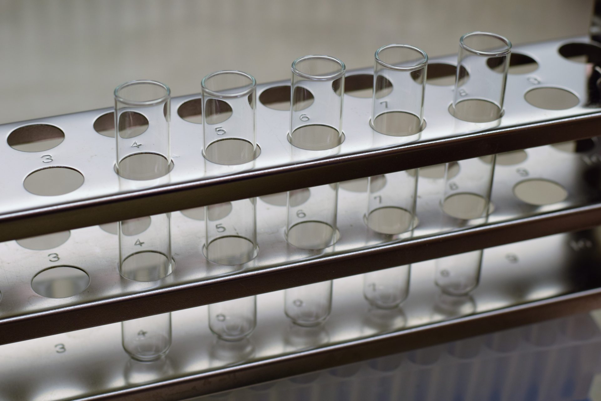 Preparation Plates in Microbiology: Techniques and Best Practices