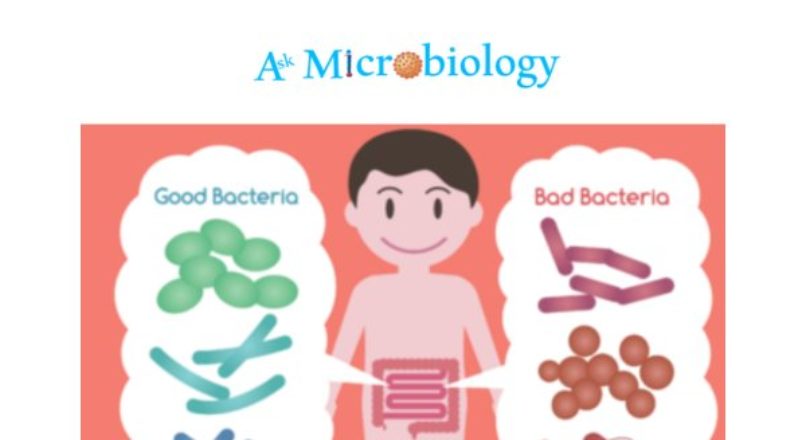 Enteric Bacteria