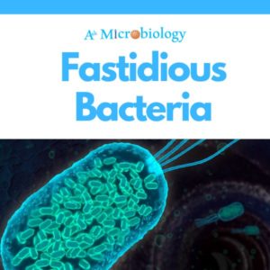 What are Fastidious Bacteria | Ask Microbiology