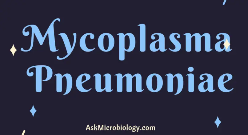 Mycoplasma Pneumoniae