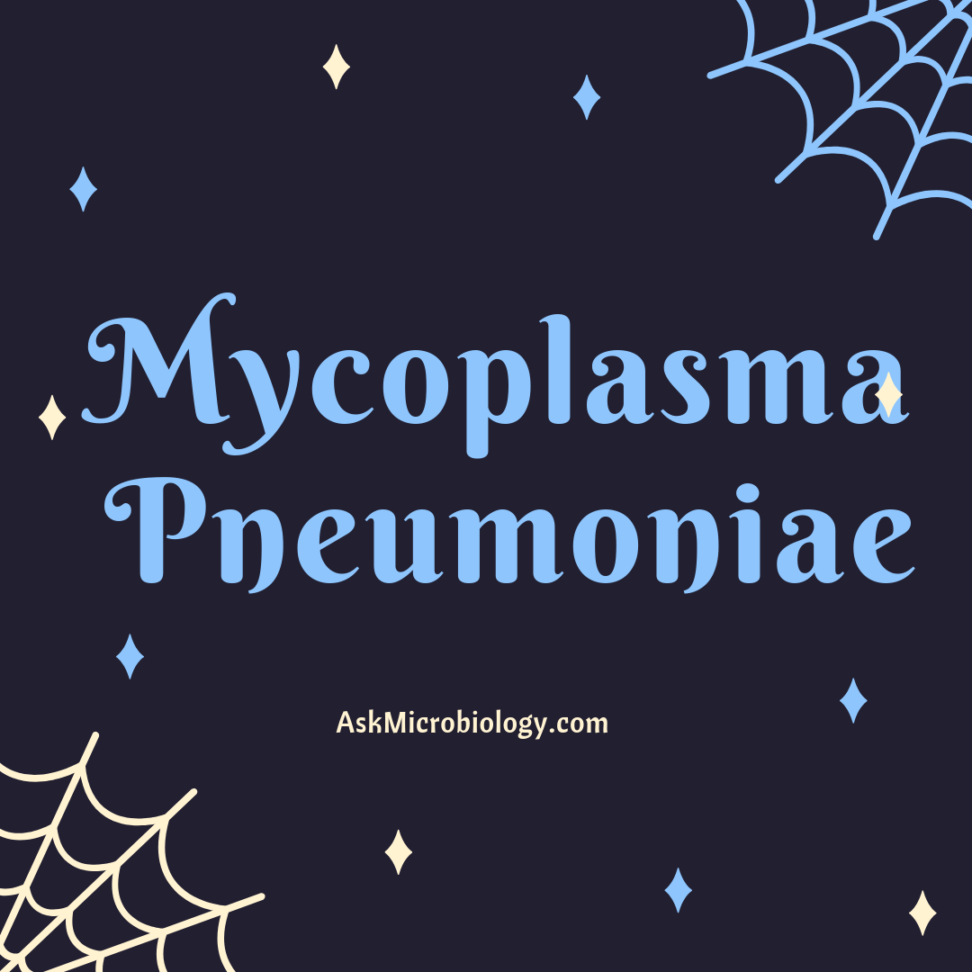 Mycoplasma Pneumoniae