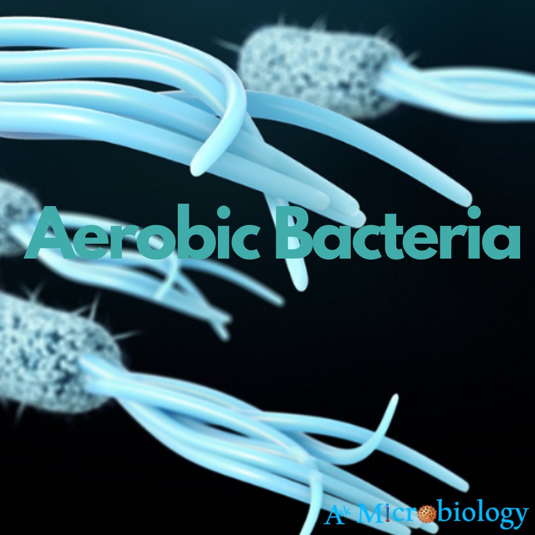 Aerobic Bacteria