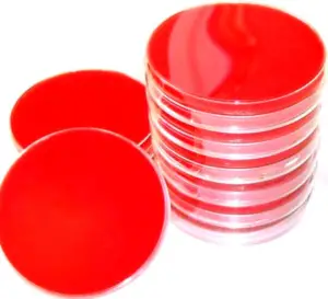 blood agar