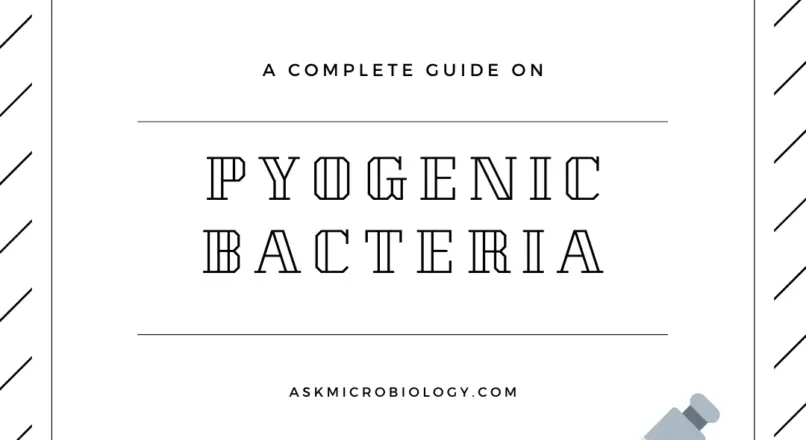 Pyogenic Bacteria