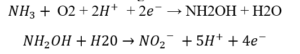 nitrifying equation