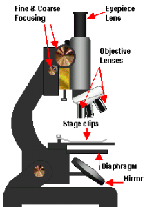 Olympus CH-2 microscope labeled diagram