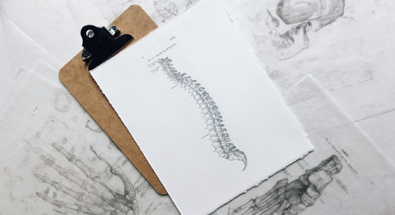Comprehensive Human Anatomy and Physiology PDF Notes: Free Download and Usage Tips