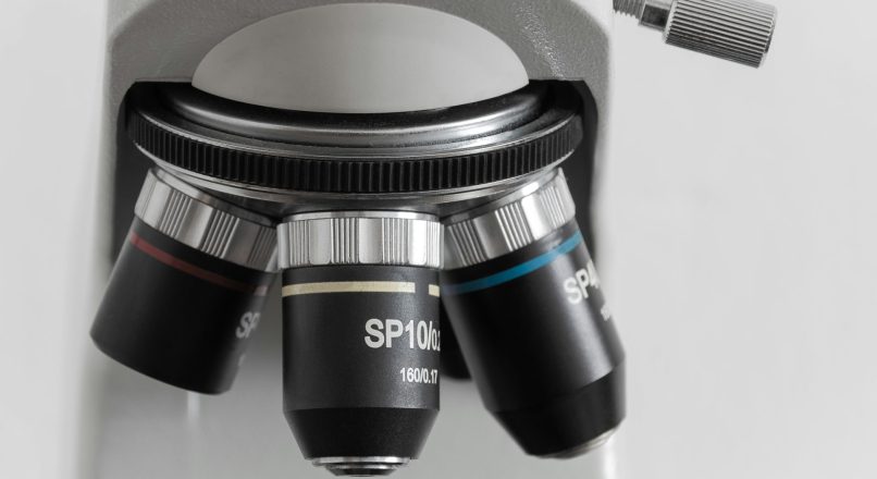 How Thermostatic Incubators Enhance Microbial Growth Precision