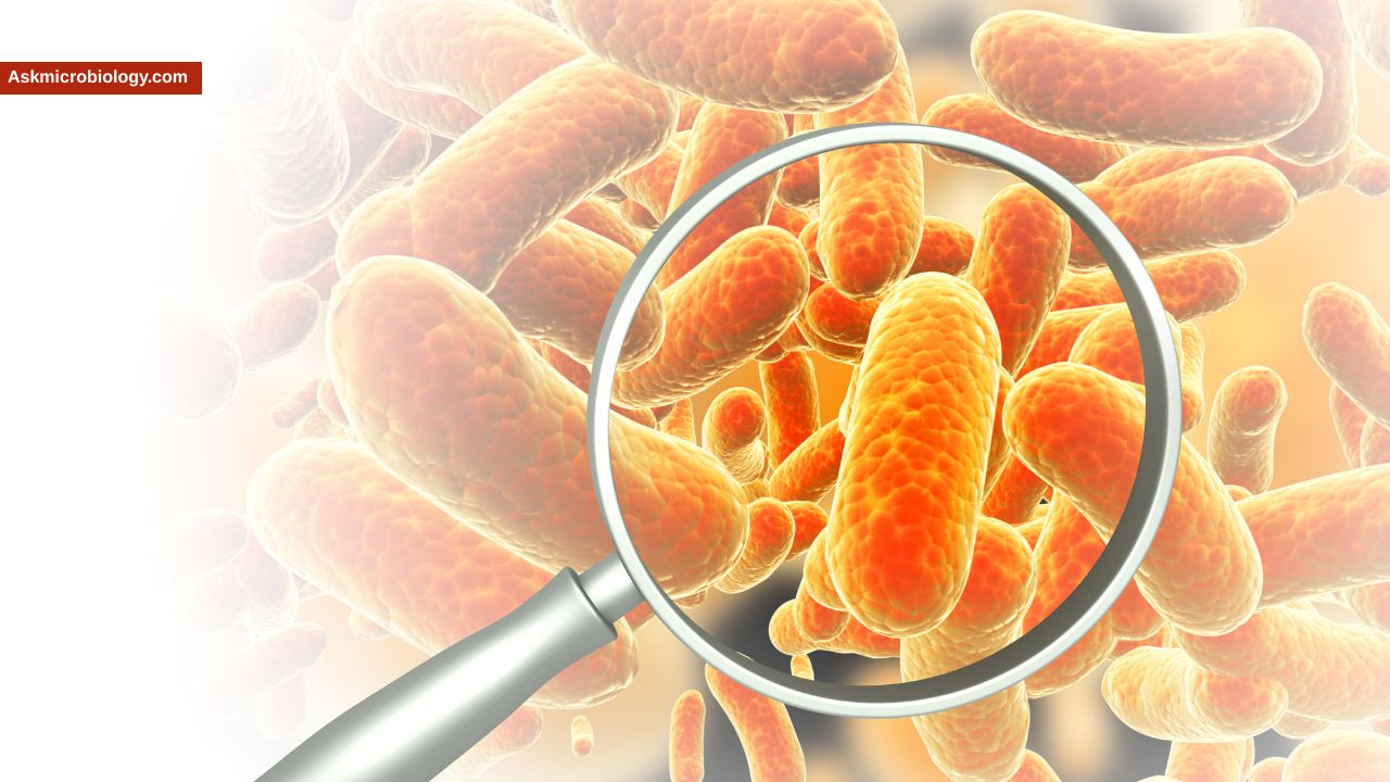 Salmonella Survival