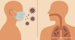 Illustration comparing viral versus bacterial tonsillitis contagion: left silhouette shows a person with mask breathing out droplets and round viruses, right silhouette shows the throat with rod-shaped bacteria and lungs, in warm pastel tones.
